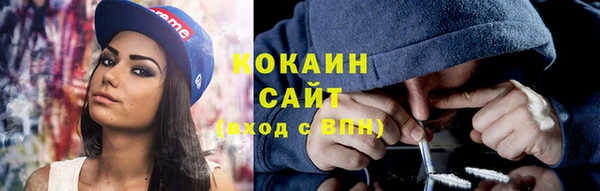молекула духа Алзамай