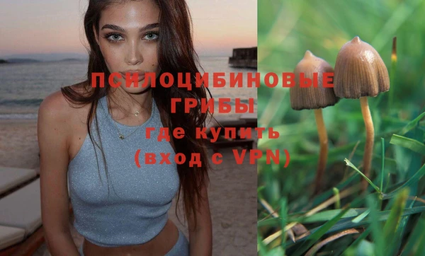 твердый Алексин
