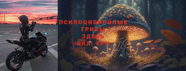 тгк Абдулино